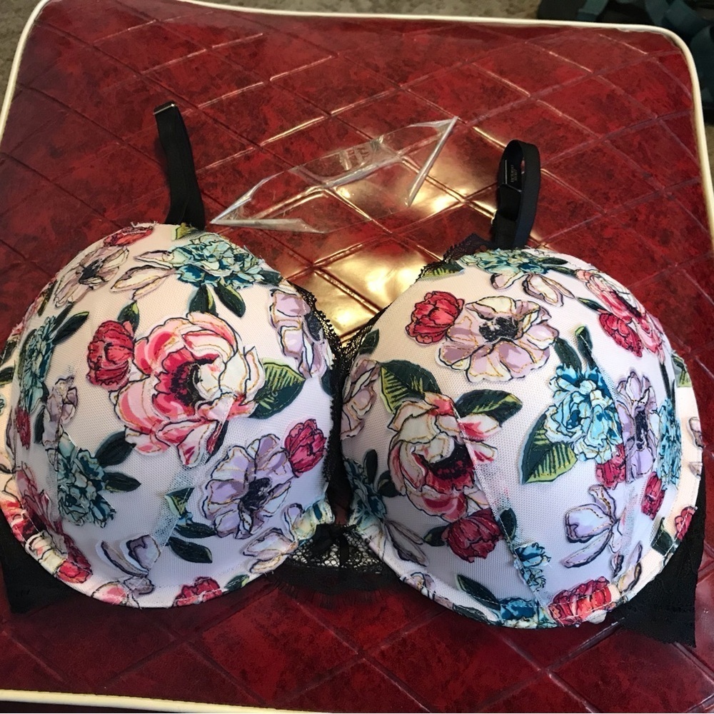 NWT Victoria's Secret Purest Pink Floral Rose Embroidered Push-Up Bra (34DD)